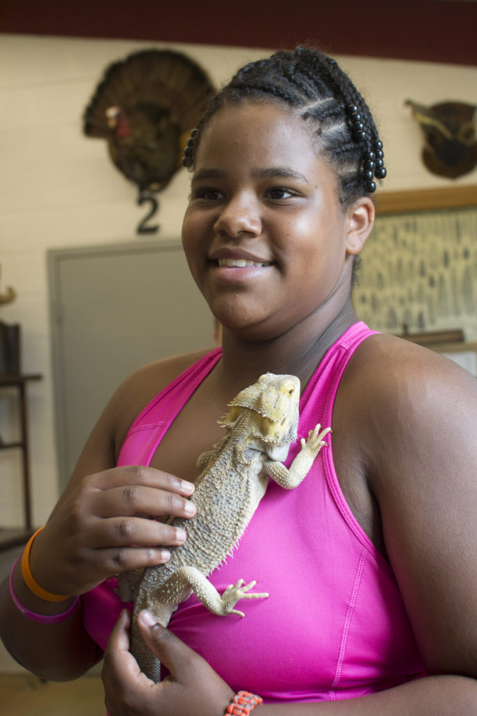 4-H'er petting lizard